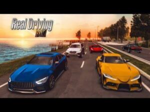 Real Driving Sim mod apk